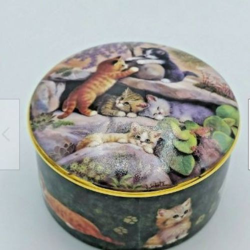 In The Rock Garden Kitten Expeditions Music Box By Ardleigh