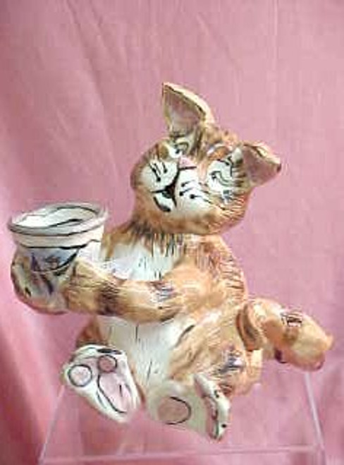 Ginger Cat Animals Lights Heat