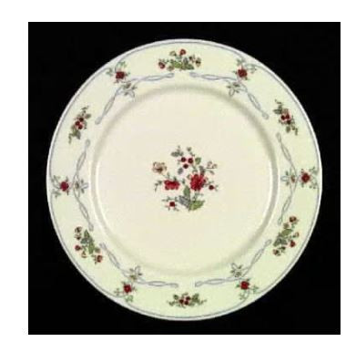 Ribbon Edge Dinner Plate