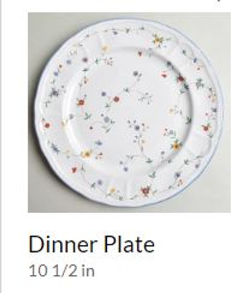 Oakbrook Epoch Dinner Plate