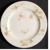 Pink Spray Round Salad Plate