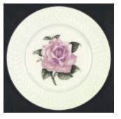 Regents Park Dinner Plate