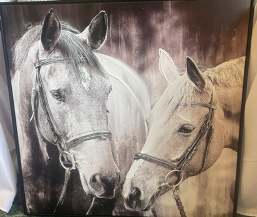 Horse Canvas Pictures