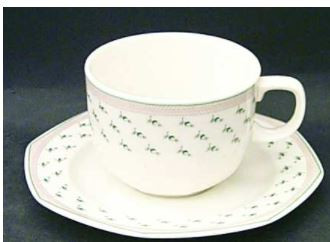 Damson Cup and Saucer