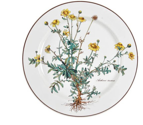 Botanica Villeroy And Boch Dinner Plate