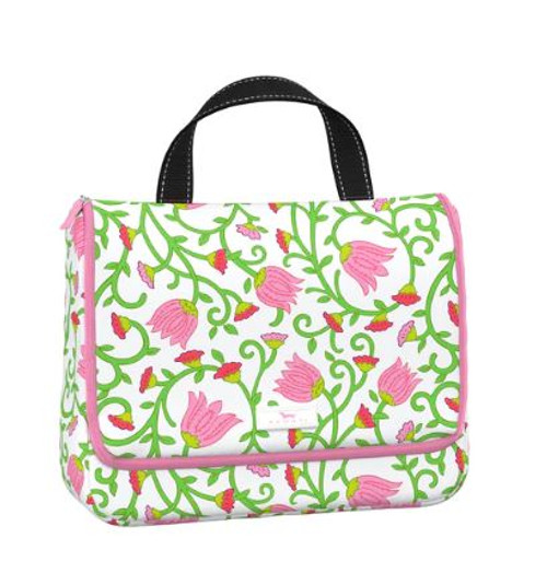 Beauty Gordito Late Bloomer Sc