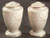 Fruits Of Life Salt and Pepper Shaker