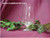Pendant Ice Tea or Beverage