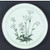 mountain_flowers_nor01.jpg