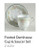 Springfield Demitase Cup and Saucer - Noritake
