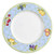 Fruit Rapture Dinner Plate