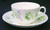 Spring Valley Cup and Saucer