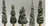 Village Accessories - Snowy Evergreen Tree Set Of 5