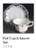 Veruschka Cup and Saucer - Adams