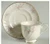 Jolie Cup and Saucer - Gorham