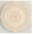 Lansdowne Dinner Plate