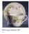 Summer Hill Dinnerware, Discontinued Dinnerware, Noritake Dinnerware, Epoch Division Of Noritake