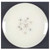 Constellation Dinner Plate