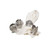 Shell Napkin Rings Set Of 4   Arthur Court Designs