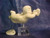 Falling For You Snowbabies Department 56