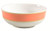Correlations Terra Cotta Fitz and Floyd Soup Cereal