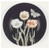 Midnight Poppy Fitz And  Floyd Salad Plate