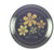 Vernon Calypso Dinner Plate