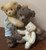Sawyer and Friends Hold On To The Cherished Teddies