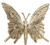 Gold ButterFly