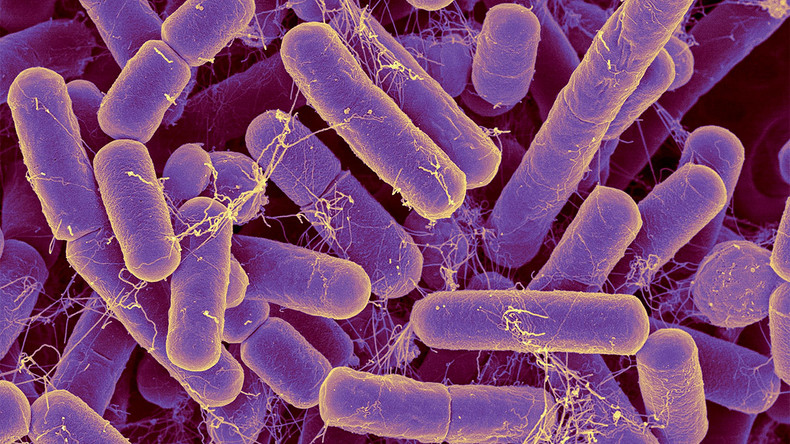 What is the Gut Microbiome?