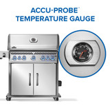 Rogue® PRO-S 625 RSIB with Infrared Side and Rear Burner