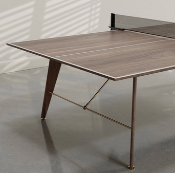 How to Create a Sports Lounge with a Professional Ping Pong Table