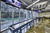 Venture Shuffleboard Mason Sport Shuffleboard Table by Venture, modern indoor game room with shuffleboard table, television screens, and large windows.
