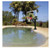 First Team Inc First Team HYDROSPORT Pool Side Basketball Hoop, portable basketball hoop setup next to a swimming pool in outdoor setting with trees and blue sky.