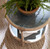 Hooker Furniture Retreat Raffia Blue Sand End Table, round wooden end table with glass top and a potted green fern plant on it.