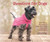 Sweaters for Dogs by Debbie Humphreys