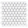 Dolomiti White Marble Italian Bianco Dolomite 1" Hexagon Mosaic Tile Polished