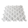 Honed White Carrara Marble May Flower Mosaic Tile with White Carrara Penny  