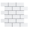 Bianco Dolomiti Marble Italian White Dolomite 2x4 Mosaic Tile Polished