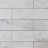 Carrara Marble Italian White Bianco Carrera 3x12 Marble Tile Polished