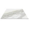 Calacatta Gold Italian Honed Marble 24x24 Tile 