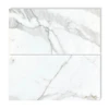 Calacatta Gold Italian Marble 18x36 Tile Honed