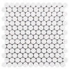 Bianco Dolomiti Marble 1" Penny Round Mosaic Tile Honed