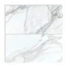 Calacatta Gold Italian Marble 24x48 Tile Honed