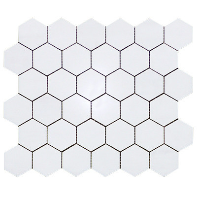 Dolomiti White Marble Italian Bianco Dolomite 2" Hexagon Mosaic Tile Polished