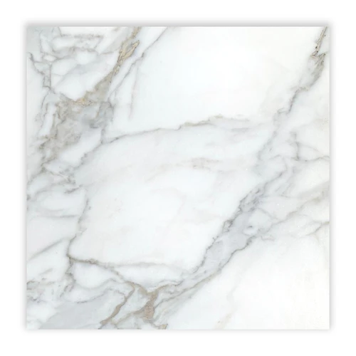 Calacatta Gold Italian Marble 24x24 Tile Honed