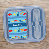 Dinosaur Trails Collapsible Bento Box