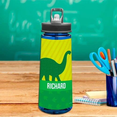Dino and Me Green Sports Water Bottle