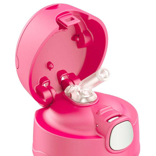 Chevron Blue and Pink Thermos Bottle