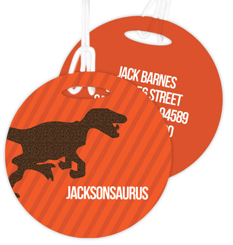 Dino And Me- Orange Kids Luggage Tags